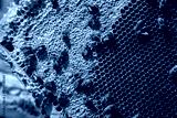 preview cold