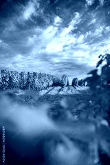preview cold