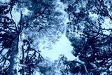 preview cold