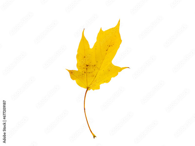 image to crop