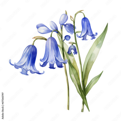 image to crop