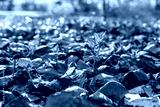 preview cold
