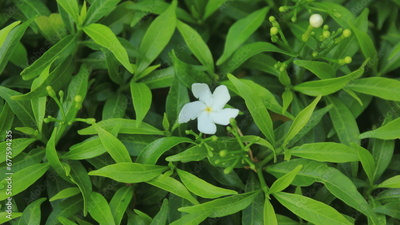 image to crop