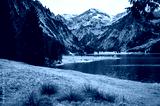 preview cold