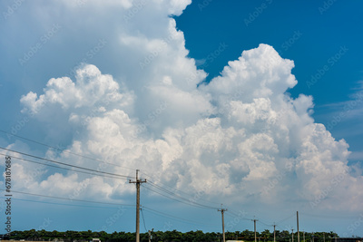 image to crop