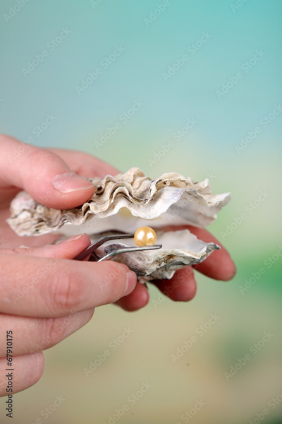 image to crop