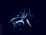 preview cold