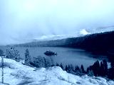 preview cold