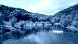 preview cold