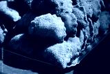 preview cold