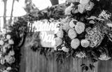 preview bw