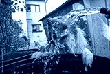 preview cold