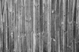 preview bw