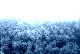 preview cold