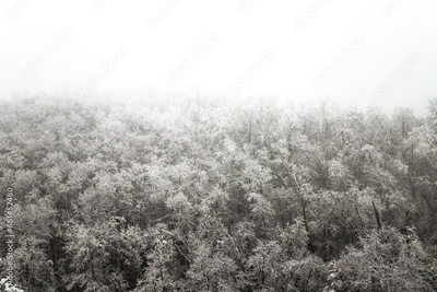image to crop