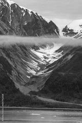 preview bw