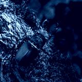 preview cold