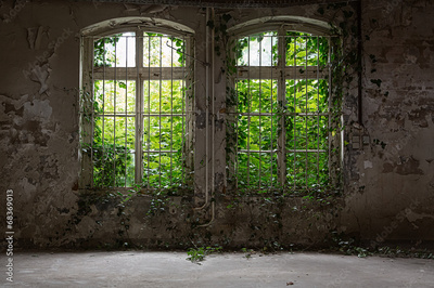 image to crop