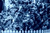 preview cold