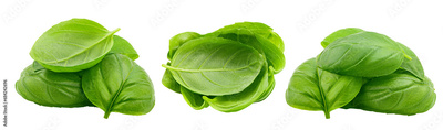 image to crop