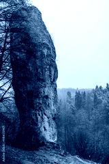 preview cold