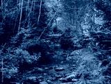 preview cold