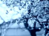 preview cold