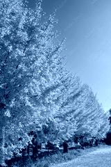 preview cold