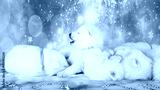 preview cold