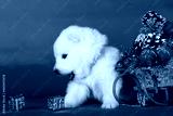preview cold