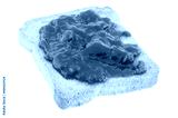 preview cold