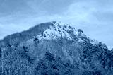 preview cold