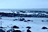 preview cold