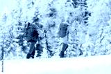 preview cold