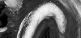 preview bw