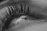preview bw