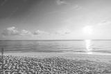 preview bw