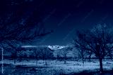 preview cold
