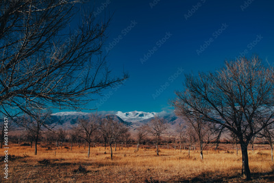 image to crop