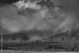 preview bw