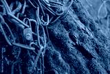 preview cold