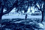 preview cold