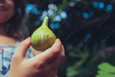 image to crop