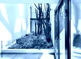 preview cold