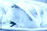preview cold