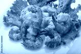 preview cold