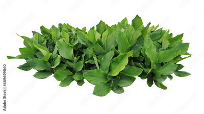 image to crop