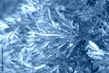 preview cold