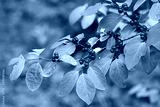 preview cold