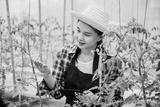 preview bw